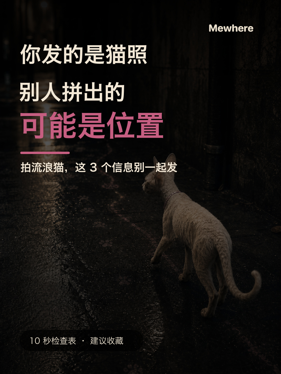 你发的是猫照，别人拼出的可能是位置