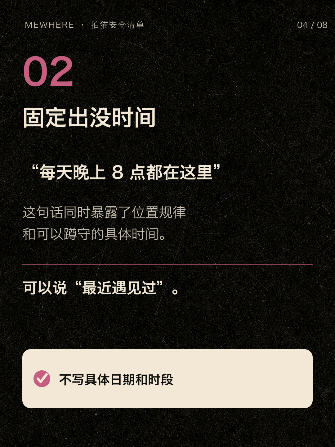 不要公开流浪猫固定出没时间