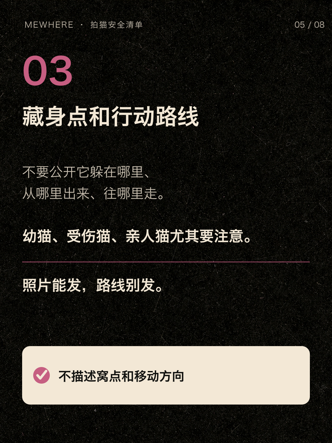 不要公开流浪猫藏身点和路线