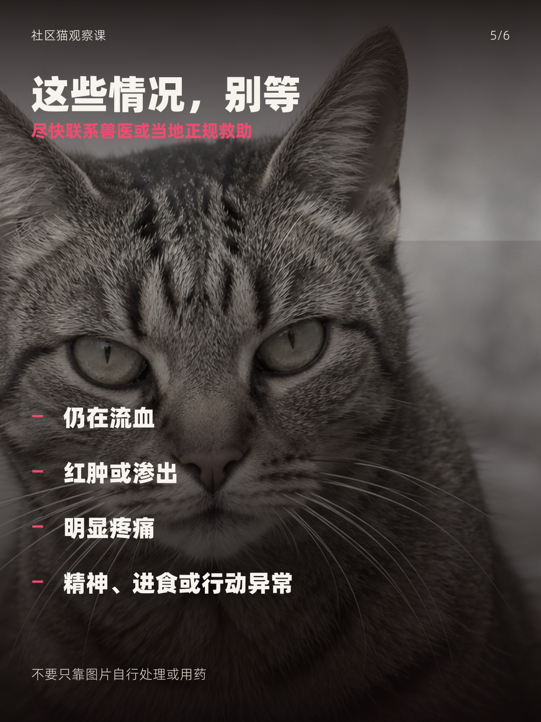 耳朵流血红肿时应尽快寻求帮助