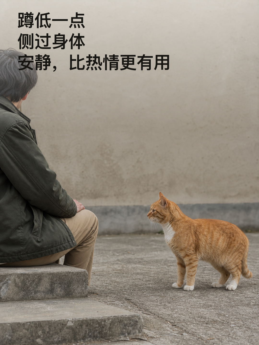 蹲低、侧身和安静地接近流浪猫